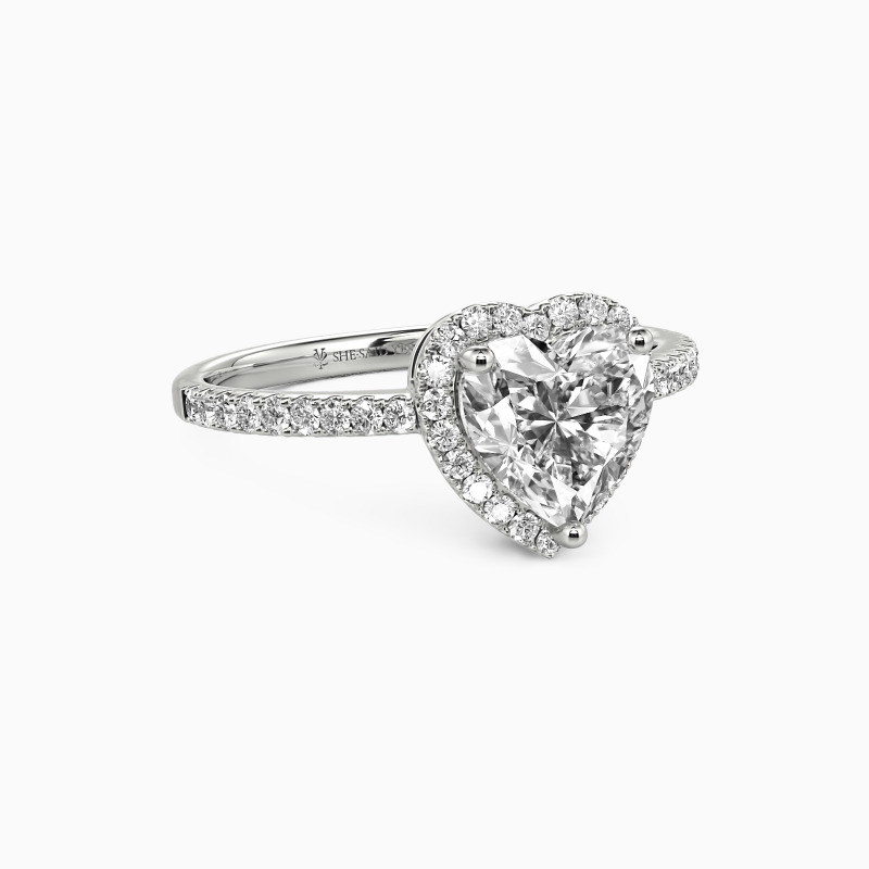 "You Are My Everything" 1ct Heart Cut Halo Engagement Ring