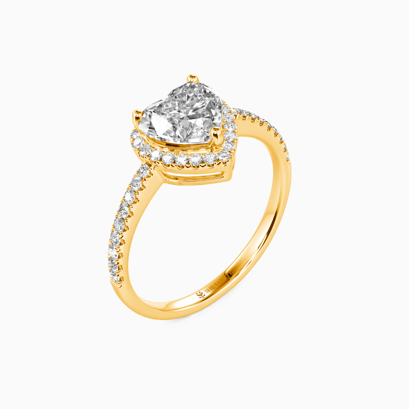 "You Are My Everything" 1ct Heart Cut Halo Engagement Ring