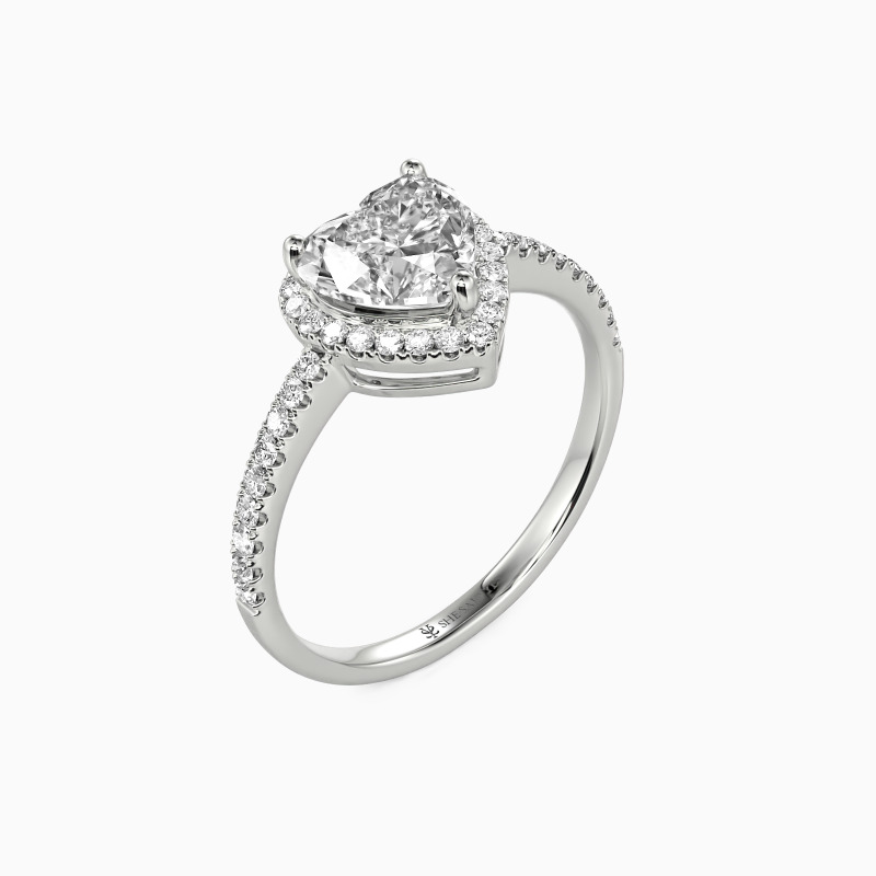 "You Are My Everything" 1ct Heart Cut Halo Engagement Ring