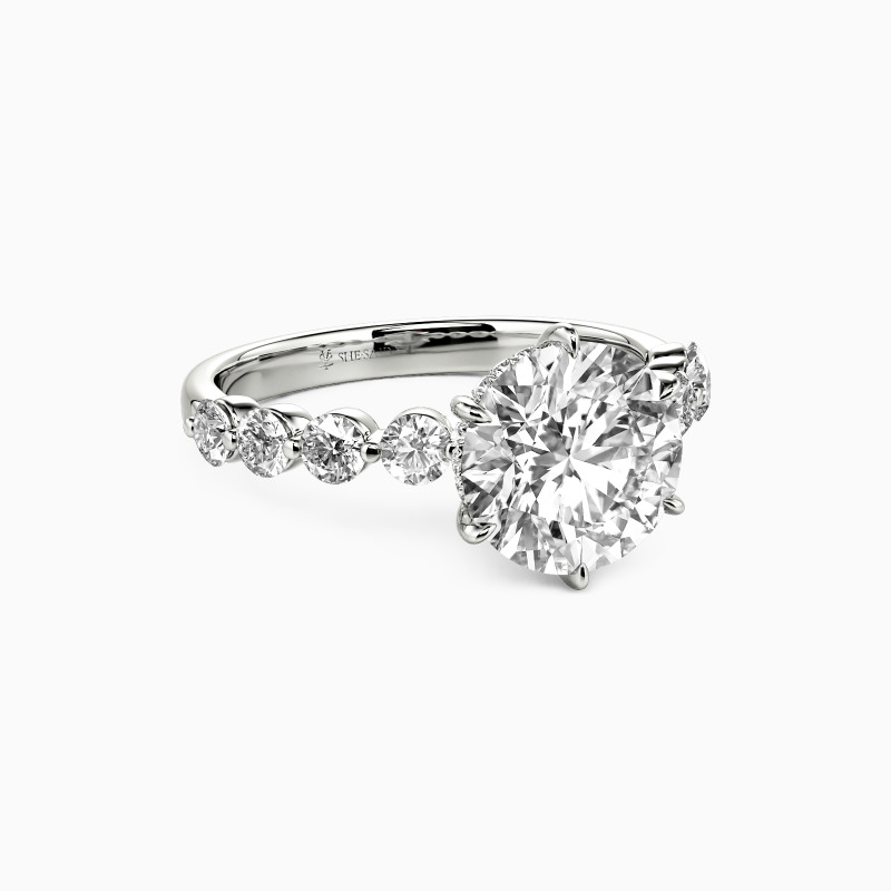"My Forever After" Round Cut Side Stone Engagement Ring